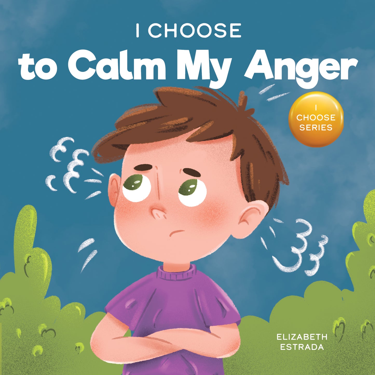 I Choose to Calm My Anger Paperback Book